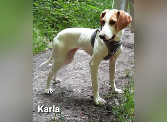 Karla mit dem zauberhaftem Wesen