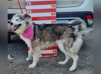 Rita Y160 ist eine wahre Frohnatur