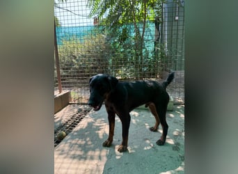 Forest will das Leben kennenlernen