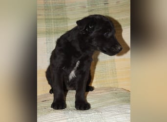 Sidney, Black Baby freut sich auf Dich!
