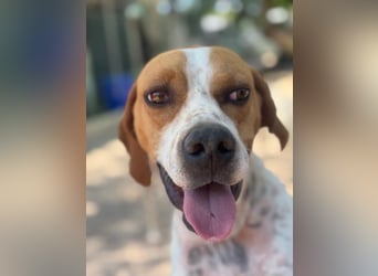 Cooper, hofft auf eine Chance