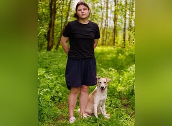 Zuckersüße Tiffany sucht