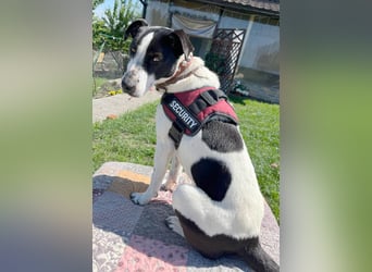 Hübsche Iris sucht liebe Familie