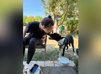 Schmusebacke Lana sucht ihre Familie ❤️