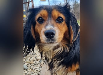 Schmusemaus BOBISHA liebt Kuscheln über alles