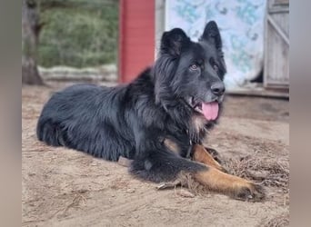Benny
