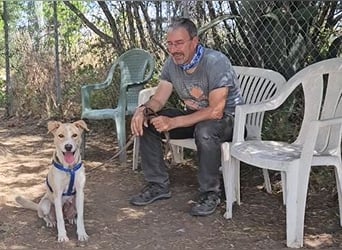 Lucy: tolle Familienhündin in schöner Größe