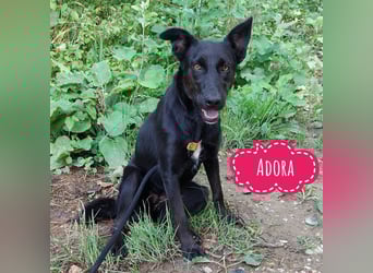 Adora ein Schatz