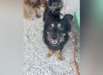 Isabel, sucht ihre Familie