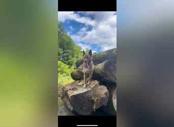 Lucky