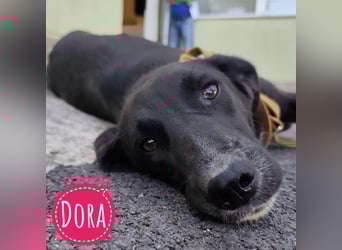 Dora zerbricht innerlich