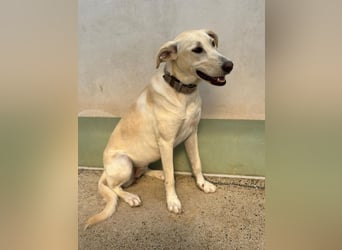 Lilly – sensibel, aktiv, besonders. Wer gibt ihr diesmal die richtige Chance?