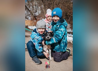 Die kleine Giselle sucht ein Zuhause
