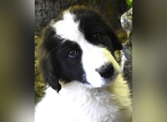 Lexanna - wenn Träume in Dauerschleife das Einzige sind, was man hat