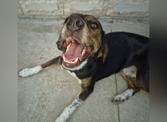 Arturo - junger Gutelaune-Bub