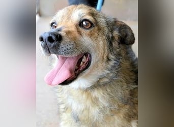 Maikin - Schnuffel schnuffel Körbchensuche