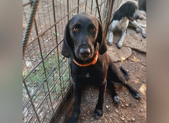 Prugna - RESERVIERT - Black Pearl, jung, neugierig aufgeschlossen