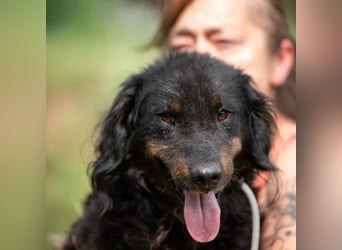 Zeyko