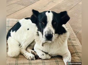 Frodo, ein Teddybär sucht seine Familie, PS in 86701 Rohrenfels