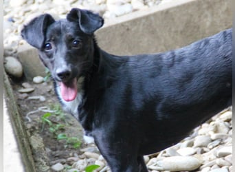 Kuckuck, zauberhafte FIONA sucht liebevolle Familie