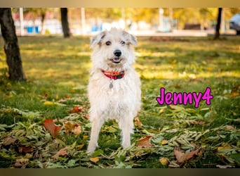Jenny4 geb. 01/2018 - bezaubernde und super liebe, kleine Wuschelhündin!