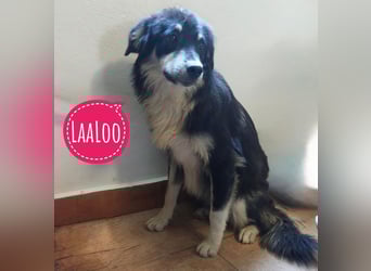 LeeLoo braucht ganz viel Liebe