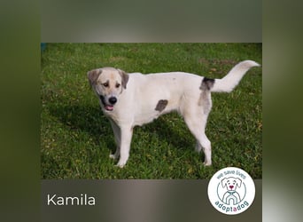 Kamila: Ruhige, liebe Seele
