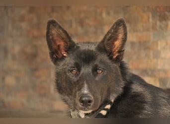 Haben Sie Lust auf ein gemeinsames Leben mit Bablo?