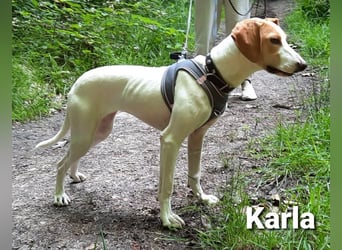 Karla mit dem zauberhaftem Wesen