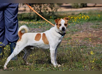 BERNI - der Allrounder