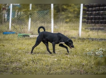 Larry: Sportskanone sucht Gleichgesinnte