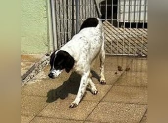 Elisabetta - wann beginnt endlich auch mein Leben