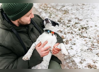Lebensfroher Henry sucht seine Familie