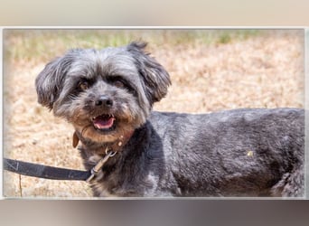 Kiko - ein charmanter Junge