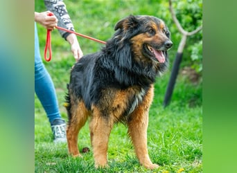 Zümi von kettenlos