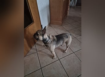 Liebevolles Zuhause gesucht
