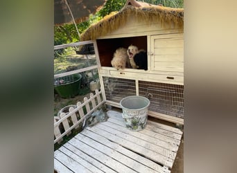 Cameron, zauberhaft und verspielt