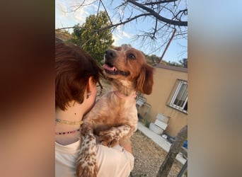 Linda, sucht ihre Familie