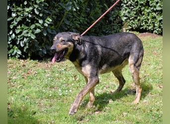 Montego - Sonne im Bauch und Brausekribbeln im Hirn