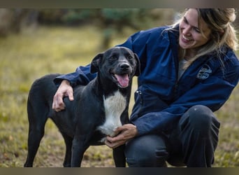 Larry: Sportskanone sucht Gleichgesinnte