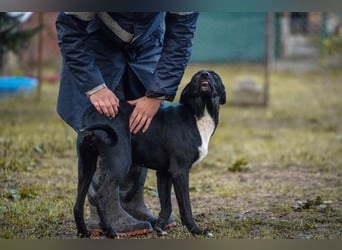 Larry: Sportskanone sucht Gleichgesinnte