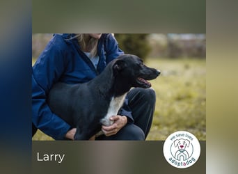 Larry: Sportskanone sucht Gleichgesinnte