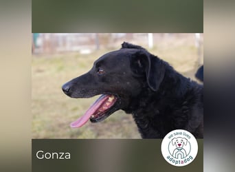 Gonza – Bewegungs-Fan sucht Nähe