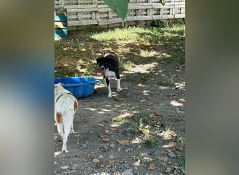 Zauberhafte Kayla ist bereit!