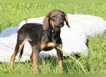 Macy unsere kleine Prinzessin...