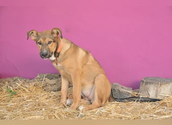 Zeigen Sie Mascha, was Liebe ist?