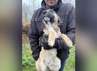 Ivy freut sich auf Deinen Besuch