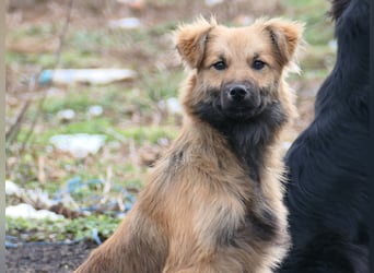 Dani sucht ihre Familie