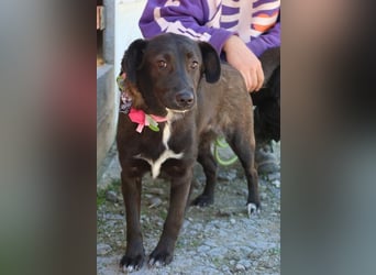 Tifany, was für ein wundervoller Schatz