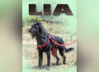 Lia - eine süße Maus